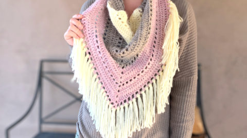 Easy All DC Triangle Scarf Crochet Pattern - Hooked on Homemade Happiness