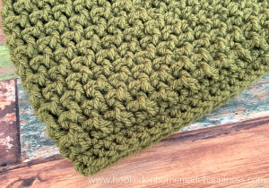 Evergreen Beanie Crochet Pattern - The Evergreen Beanie Crochet Pattern uses front post double crochet and back post double crochet to create this fun texture!