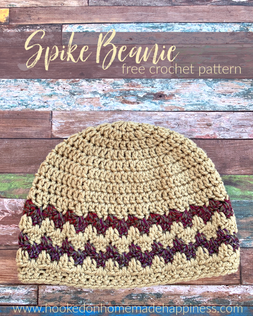 Spike Beanie Crochet Pattern - The Spike Beanie Crochet Pattern uses a fun variation of the classic granny stripe, the Granny Spike Stitch! 