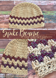 Spike Beanie Crochet Pattern - The Spike Beanie Crochet Pattern uses a fun variation of the classic granny stripe, the Granny Spike Stitch!