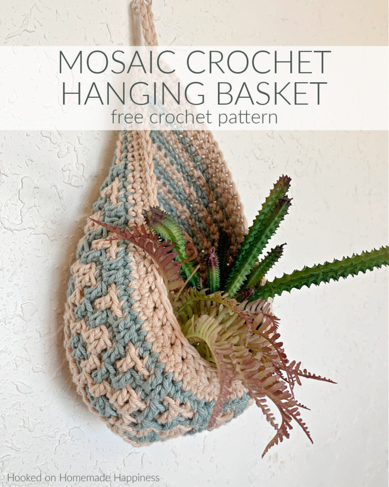Mosaic Crochet Hanging Basket Pattern Hooked on Homemade Happiness
