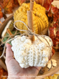 Bobble Pumpkin Crochet Pattern