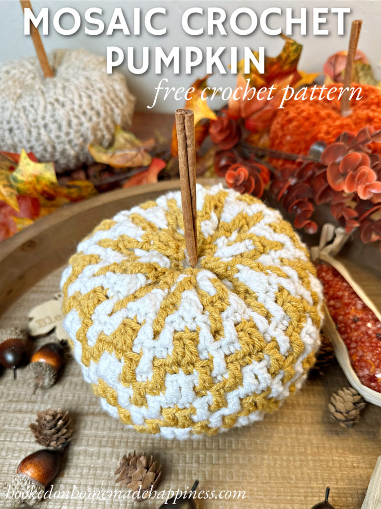 Mosaic Pumpkin Crochet Pattern