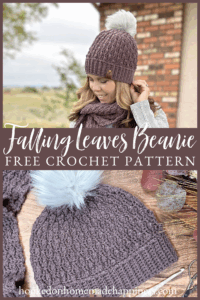 Falling Leaves Beanie Crochet Pattern