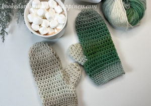 Easy Beginner Mittens Crochet Pattern