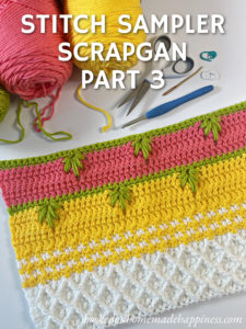 2026 Stitch Sampler Scrapghan CAL – Part 3: Extreme Drop Leaf Stitch